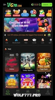 VG70 Game interface screenshot