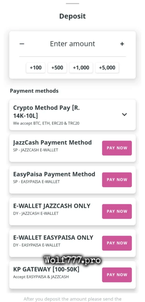 Wolf777 Deposit methods